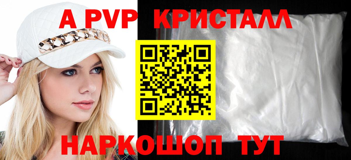 Alfa_PVP СК КРИС Луга