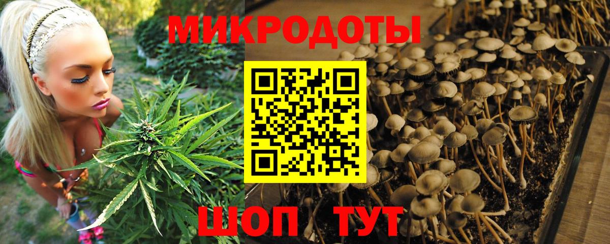 Луга  Галлюциногенные грибы мухоморы  Вход с VPN 
